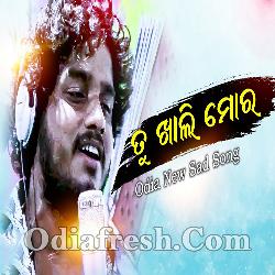 tu khali mora odia mp3 song download pagalworld ringtone